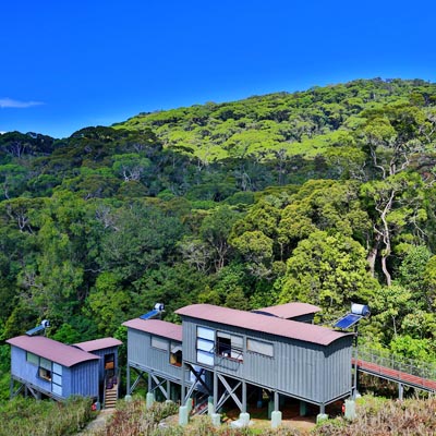 Rain forest Eco Lodge 